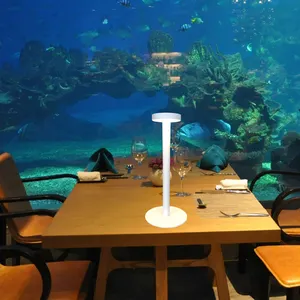Lámpara LED recargable para mesa de BAR, lámpara de lectura inalámbrica para restaurante, funciona con pilas, fabricante de China