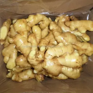 Manufacturer Supply Organic Fresh Ginger Selling Ginger Good Quality Fresh Ginger Wholesale price