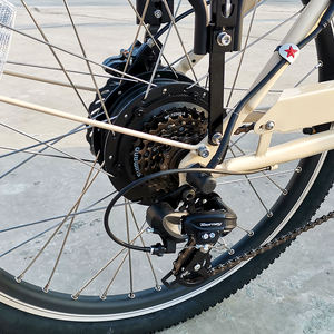 Triciclo Eléctrico Holandés en Oferta, Bicicleta Eléctrica, Triciclo para Casa Móvil, Enduro, Camper, Bicicleta Eléctrica de 3 Ruedas, Bicicleta Familiar de Carga, Bakfiet - Product Image 6