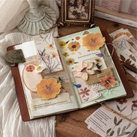Ensemble de papiers vintage pour scrapbooking avec fleurs pressées, pack d'égéreries botaniques, plantes et motifs floraux pour journalisation et scrapbooking décoratif