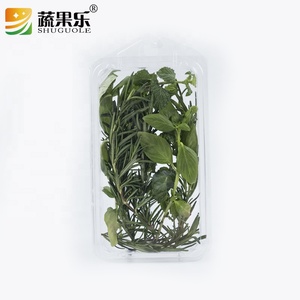 Hộp đựng thảo mộc nhựa hình chữ nhật, cấp thực phẩm, chất liệu PET trong suốt, kiểu vỏ sò, có móc treo - Product Image 5