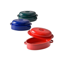 D'ustensiles en porcelaine pour barbecue, en céramique, rôtissoire ovale, pour poulet, dinde, à rainure, poêle, fond de cuisson, 2 pièces