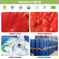 Pâte de tomate pure naturelle en vrac sans additifs, vente directe d'usine, prix compétitif
