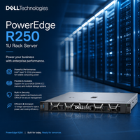 Server Rak Dell R250 1U Desain Prosesor Tunggal untuk Aplikasi Backup dan File Server