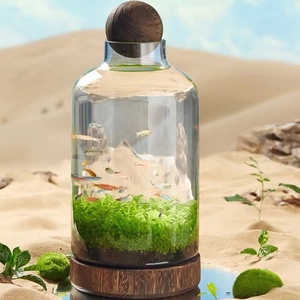 Bocaux de <span class=keywords><strong>terrarium</strong></span> Vente en gros Matériau en verre <span class=keywords><strong>Plante</strong></span> d'intérieur géométrique transparente Bouteille de <span class=keywords><strong>terrarium</strong></span> en verre Biodome Rainfore <span class=keywords><strong>Terrarium</strong></span> Jar - Product Image 4