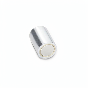 Aimants CYL polyvalents de 0,236 po de diamètre x 0,787 po d'épaisseur, accessoires de capteur 502401 disponibles - Product Image 1