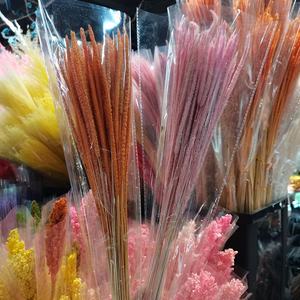 En stock, vente flash, herbe de la pampa séchée naturelle, herbe de Kirin, <span class=keywords><strong>bouquet</strong></span> de blé pour décoration de mariage et cadeau d'anniversaire - Product Image 1