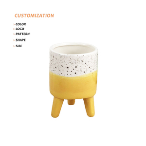 Nhỏ Thiết Kế Sáng Tạo Điểm Đen Men Gốm Nhà Máy Nồi Cho Nhà Vườn Trang Trí Với Một Mọng Nước Cây Xương Rồng Với Chân Đứng - Product Image 1