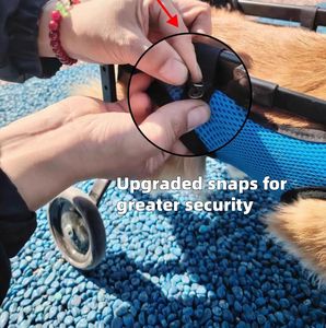 <span class=keywords><strong>Silla</strong></span> <span class=keywords><strong>de</strong></span> <span class=keywords><strong>ruedas</strong></span> <span class=keywords><strong>para</strong></span> <span class=keywords><strong>perros</strong></span>, <span class=keywords><strong>silla</strong></span> <span class=keywords><strong>de</strong></span> <span class=keywords><strong>ruedas</strong></span> ajustable <span class=keywords><strong>para</strong></span> <span class=keywords><strong>perros</strong></span> pequeños <span class=keywords><strong>para</strong></span> patas traseras - Product Image 5