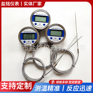 Salt Inscription Local Display Thermocouple 500 Mm Stainless Steel LCD Temperature Sensor For Industrial Use - Product Image 4