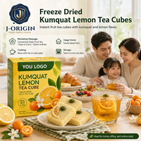 Gefreeze-droogde Kumquat Citroen Thee Kubus Instant Fruitthee Drank OEM Private Label Leverancier China Voedingsmiddelenkwaliteit 12 Maanden Houdbaarheid