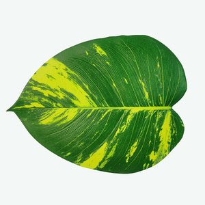 Mantel de mesa con forma de hoja EVA de Palma verde artificial al por mayor de fábrica para decoraciones de fiesta - Product Image 1