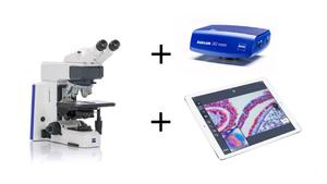 สำหรับกล้องจุลทรรศน์ชีวภาพ Axioscope5 พร้อมจอแสดงผล LED และระบบโฟกัสแบบแมนนวล - ภาพคมชัด ประหยัดเวลาและมีประสิทธิภาพ - Product Image 6