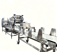 Machine à pâte commerciale, machine à nouilles, machine à rouler la pâte, machine à faire des enveloppes de raviolis, machine à faire des peaux de wontons en acier inoxydable