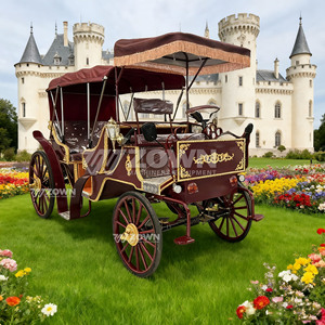 Carruaje Eléctrico Vintage para Exteriores, Elegante Vehículo Turístico Tirado por Caballos en Venta, Elegante y Real Carroza con Toldo - Product Image 3