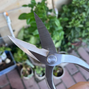 Forbici da Giardinaggio Multifunzione in Acciaio Inox di Alta Qualità <span class=keywords><strong>per</strong></span> Potatura e Bonsai OEM Industriale Fai-da-Te - Product Image 3