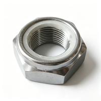 100 Buah Mur Hex Baja Tahan Karat M6 A2 DIN439 Mur Segi Enam Profil Rendah Tipis untuk Baut, Ring & Stud Berulir