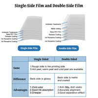 Film DTF PET en rouleau de 60 cm x 100 m de haute qualité pour machine d'impression numérique textile, résistant à l'humidité, pour transfert thermique par jet d'encre - Vente en gros