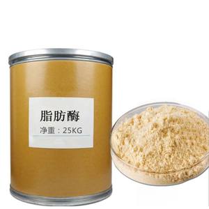 ผงเอนไซม์ไลพาส CAS 9001-62-1 เกรดอุตสาหกรรม ความบริสุทธิ์ 99% บรรจุถัง 25 กก. สำหรับวัตถุดิบผงซักฟอก - Product Image 4