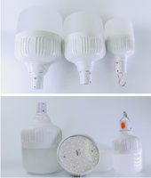 Ampoule LED Intelligente Rechargeable 5V de Haute Qualité 15W à 50W pour Camping en Extérieur et Alimentation d'Urgence DC pour Marché Nocturne