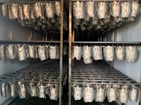 Machine commerciale de séchage de nourriture pour la ligne de séchage de machine de fabrication de nouilles de riz shirataki de bâton séché instantané de pâtes