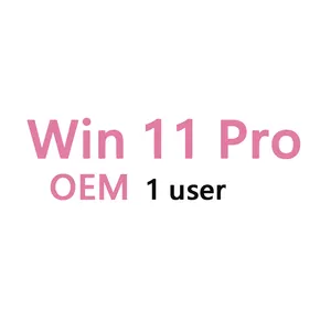 Win 11 Pro OEM Key giấy phép 100% trực tuyến kích hoạt Win 11 Pro OEM kỹ thuật số Key Win 11 chuyên nghiệp 1 PC gửi Ali trò chuyện trang