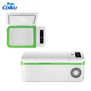 Mini frigorifero a compressore piccolo frigorifero portatile dimensioni Dc 12V congelatore Mobile 15L Mini frigorifero per auto