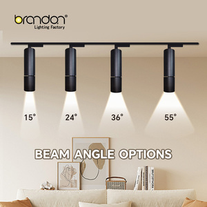 <span class=keywords><strong>Spot</strong></span> LED cylindrique commercial pour plafond, 12W, orientable 15/24/36/55 degrés, CCT, pour comptoir de magasin - Product Image 2