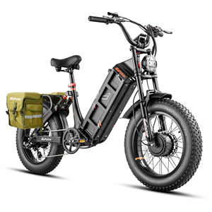 Eahora Vélo cargo électrique robuste pour adultes 250W 52V Solution de transport à double moteur de qualité professionnelle - Product Image 2