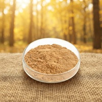 Poudre d'extrait de feuille de Ginkgo Biloba de qualité alimentaire pure Jianfeng, 24 % de flavonoïdes, en sachet en aluminium, produits de santé