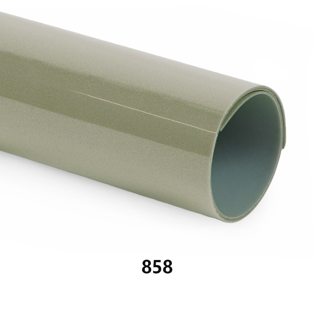 Gris-vert clair 858