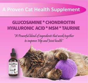 OEM/ODM Oscar cairan hewan peliharaan untuk kucing Hip & suplemen sendi Glucosamine & Chondroitin pereda nyeri & peningkatan mobilitas - Product Image 3