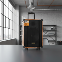 Saeapu TTD-K12 Altavoz Portátil con Ruedas de 12 Pulgadas, Gabinete de Madera Inalámbrico con Iluminación LED RGB
