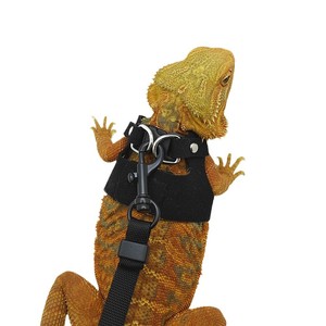 Imbracatura Regolabile in PU Solido con Corda a Strappo e Decorazione a Sciarpa per Piccoli Animali Domestici e Rettili, Modello Divisibile - Product Image 5