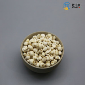 Qualidade Premium Sichuan Fritilaria Secas Fritilaria Cirrhosa Natural Ervas Chinesas Lâmpadas Saúde Venda Quente de Alta Qualidade - Product Image 3