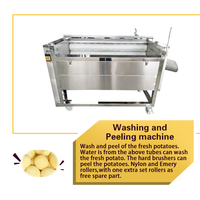 Kleinschalige 100 Kg/u Frietjes Productielijn Automatische Frietproductielijn Bevroren Frietverwerkingsmachine