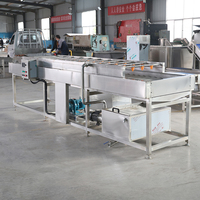 Appelwasmachine mango aardbeienwasmachine reinigingsmachine commerciële industriële fruit- en groentewasmachine met belletjes