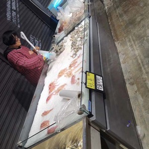 Chất lượng tốt nhất nhiệt độ duy nhất máy nén di động đóng băng bảng hiển thị cho siêu thị hải sản giới thiệu cho thực phẩm cá đông lạnh - Product Image 6