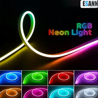Bande lumineuse LED néon RGB ESANN en silicone 6x12mm, étanche IP67, 12V/24V, télécommande via application, éclairage flexible pour maison et TV