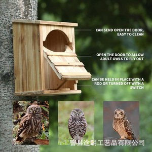 Caja de nido para búhos de madera, color madera natural, casa para pájaros duradera para exteriores, para búhos y loros - Product Image 2
