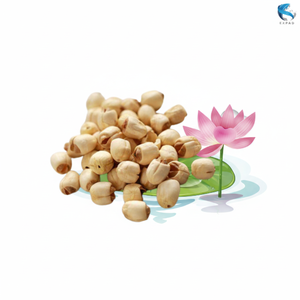 Super Promoción Lotus Seeds Obtenga el suyo ahora y experimente los beneficios para la salud a excelentes precios - Product Image 1