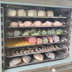 Mini congélateur commercial pour légumes - Stockage anti-humidité, idéal pour les petits restaurants et les marchés - Product Image 5