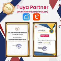 Interrupteur Wi-Fi TUYA avec Mesure, Disjoncteur Intelligent 1P+N 63A Rail DIN, Contrôle à Distance Sans Fil pour Maison Connectée TONGOU