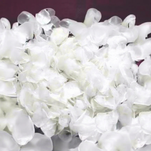 เกล็ดปลาแห้งคุณภาพสูง เกรด A โปรตีน 90% (ปลาทิลาเปียสีดำและสีแดง) / ผลิตในเวียดนาม / ไม่มีสารเติมแต่ง (คุณชิน) - Product Image 1