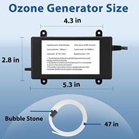 Générateur d'ozone Vansu 1000 mg/h pour garder l'eau froide en plongée, bain de glace, spa, bain à remous, piscine propre et générateur d'ozone frais