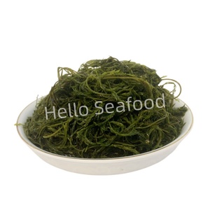 Algas Sargassum saladas al mejor precio para exportación con embalaje personalizado - Product Image 1