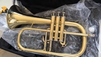 Wholesale Factory Direct Professional Performance B Flat Frugalhorn Trumpet BB Tone Gold Color Brass Instrument Manufacturer