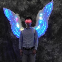 Ailes d'ange pour la danse sur scène, accessoires d'ailes de papillon pour adultes, pour se déguiser et créer une ambiance de bar