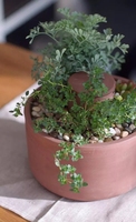 Pot de fleurs en terre cuite pour la culture de plantes d'intérieur, pot de jardin intelligent pour plantes succulentes, pot de fleurs auto-arrosant