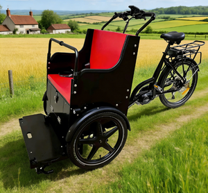 Vélo <span class=keywords><strong>cargo</strong></span> électrique à 3 roues pour le transport de personnes âgées, handicapées ou blessées, 9 vitesses, fauteuil roulant à assistance électrique et vélo de soins - Product Image 6